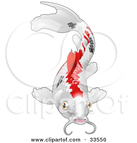 Clipart Illustration of a Calico Koi Fish With Red And Black Markings by Geo 