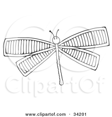 dragonfly clipart black and white. Black And White Dragonfly