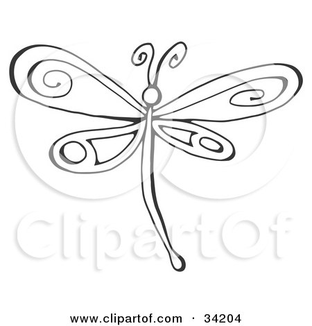  white dragonfly with pretty designs on its wings, on a white background.