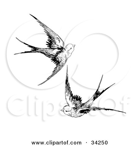 RoyaltyFree RF Clipart Illustration of a Blue And Pink Tattoo Swallow 