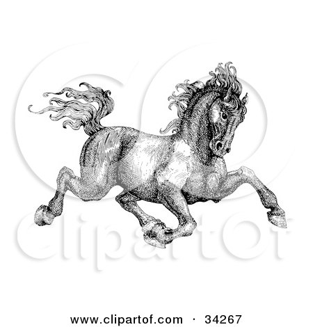  of a Black And White Pen And Ink Drawing Of A Muscular Victorian Horse 