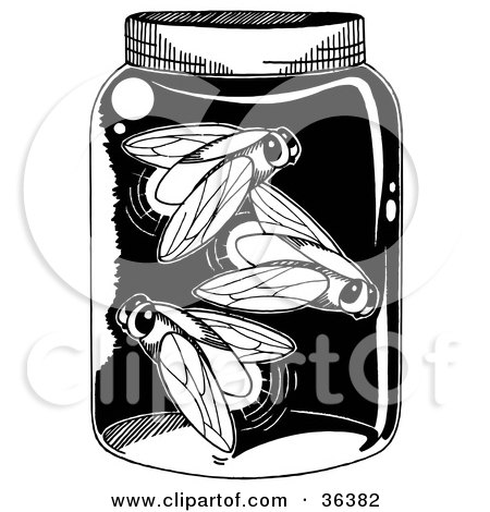 firefly insect cartoon. Royalty-free insect clipart