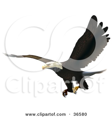 Royalty-free animal clipart picture of a bald eagle flying with his talons 