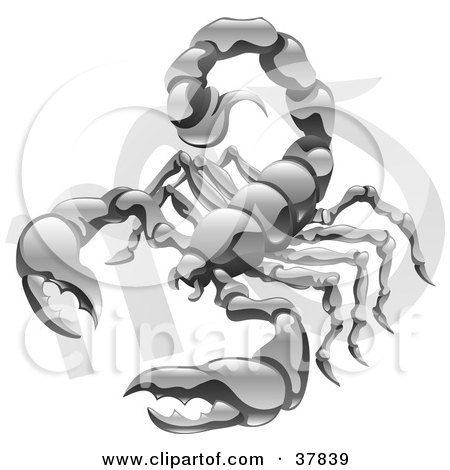 Clipart Illustration of Scorpio The Scorpion With The Zodiac Symbol by Geo