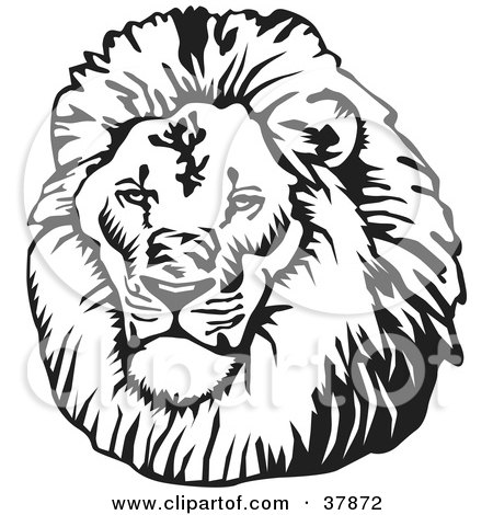 Royalty-free animal clipart picture of a black and white male lion head, 