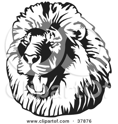 Royalty-free animal clipart picture of a black and white roaring male lion 