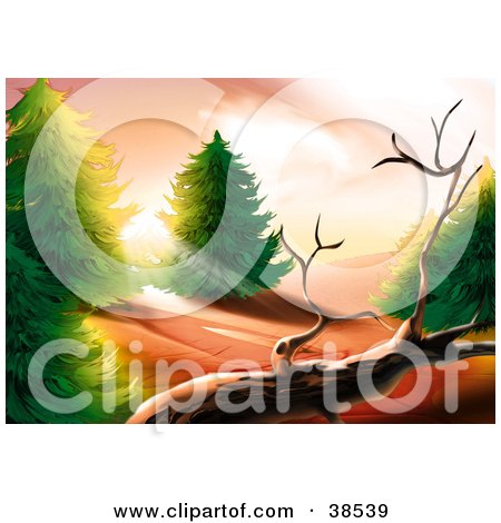forest trees clipart. Between Forest Trees,