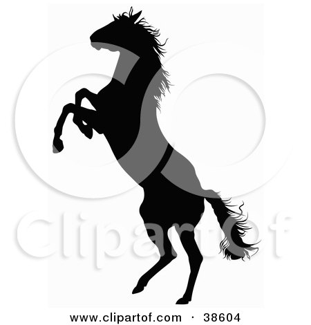 rearing horse silhouette. of a rearing horse,