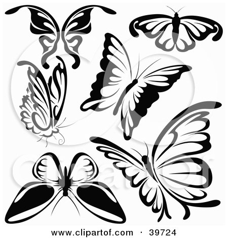 clip art butterfly black and white