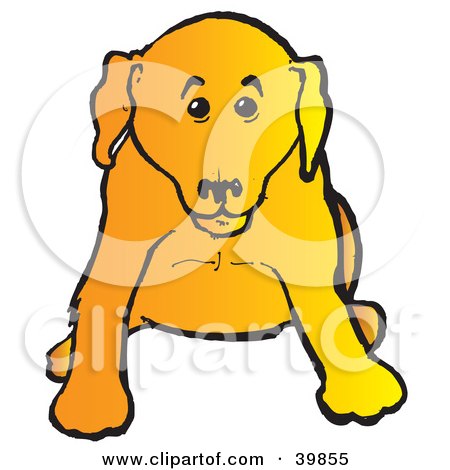 cute yellow labrador puppy. Cute Yellow Lab Puppy Dog