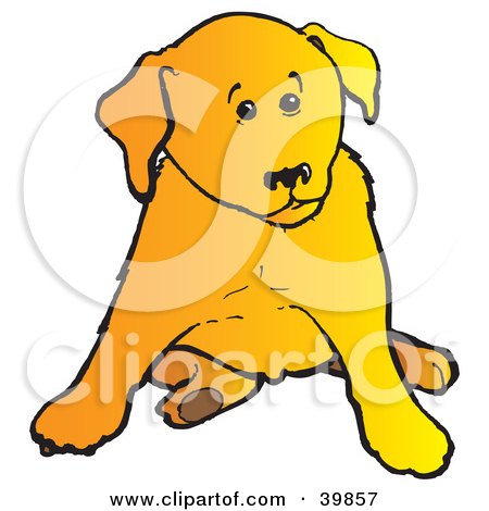cute yellow labrador puppy. Cute Yellow Lab Puppy Dog