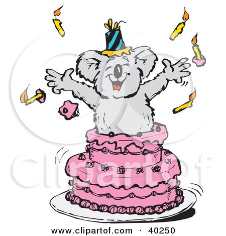 40250-Clipart-Illustration-Of-A-Koala-Popping-Out-Of-A-Pink-Birthday-Cake.jpg