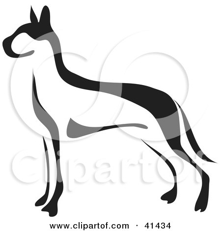 Black And White Paintbrush Styled Image Of A Great Dane Poster, Art Print