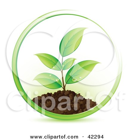 seedling clip art. Clipart Illustration of a
