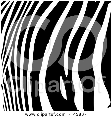 wallpaper zebra stripes. Curved Black Zebra Stripes