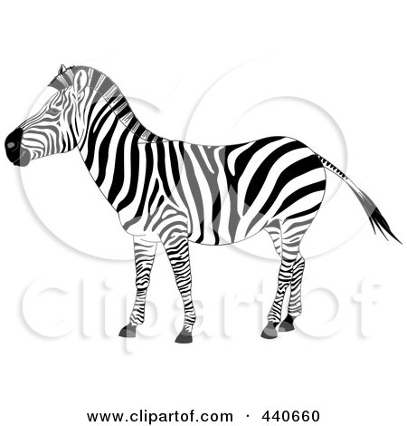 Royalty-free clipart picture of a profiled zebra, on a white background.