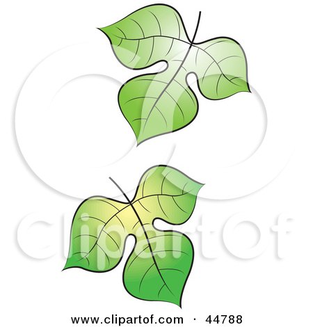 falling green leaf