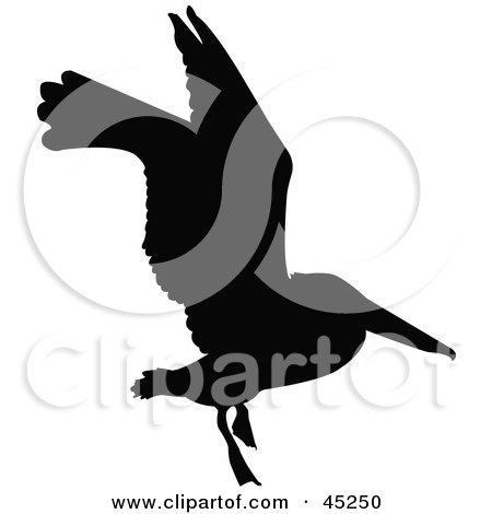  of a profiled black flying bird silhouette, on a white background.