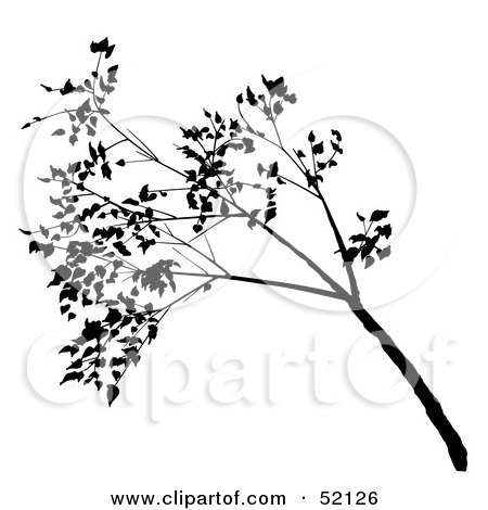 clipart tree with branches. Tree Branch Silhouette
