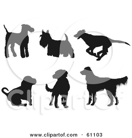 dog breeds. dog silhouette