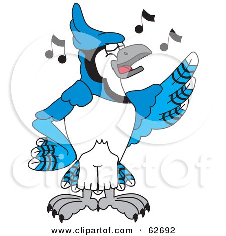 Blue Jay Cartoon