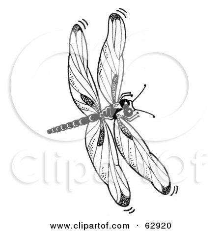 Black And White Dragonfly In Flight Poster, Art Print