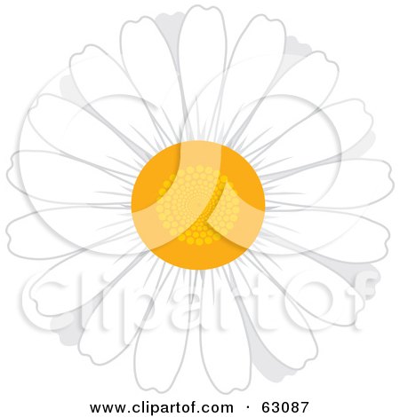 Royalty-free clipart picture of a round white daisy flower with a yellow 