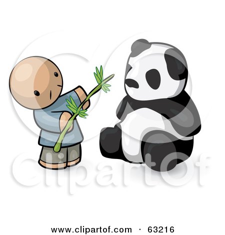  a human factor chinese man feeding a panda bear, on a white background.