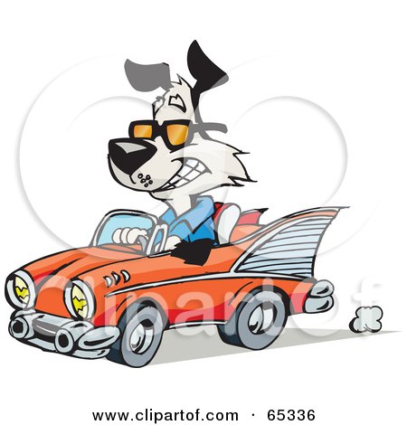 RoyaltyFree RF Clipart Illustration of a Black And White Dog Driving A