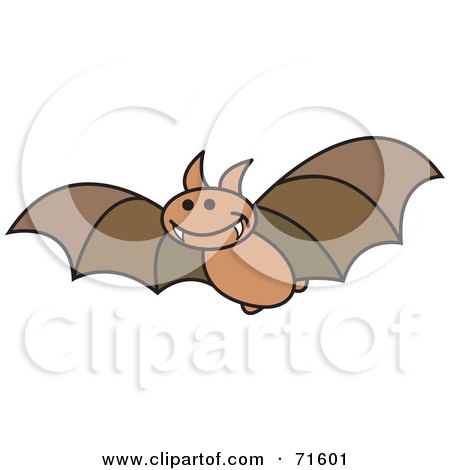 Fly Bat