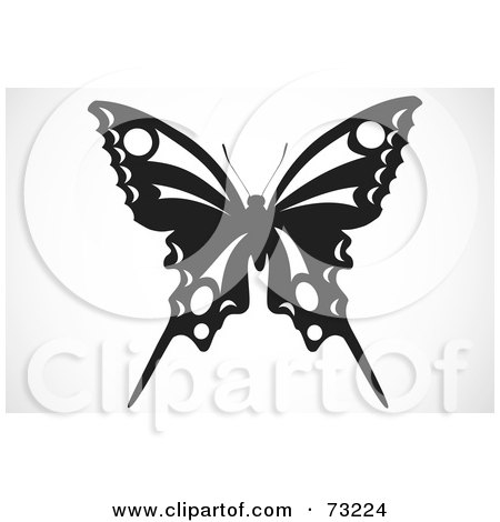 black and white butterfly designs. Black And White Butterfly