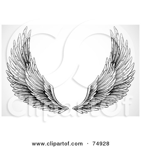  RF Clipart Illustration Of A Pair Of Black And White Feathery Open Wings