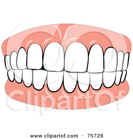 tooth clipart. Denture Teeth Biting Down