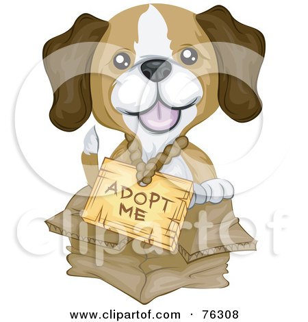Adopt Puppies on Puppy Wearing An Adopt Me Sign And Sitting In A Box By Bnp Design