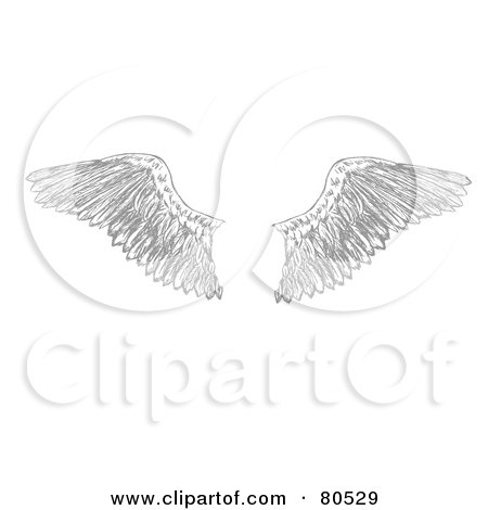 Royalty-free clipart picture of a pair of feathered eagle wings, 