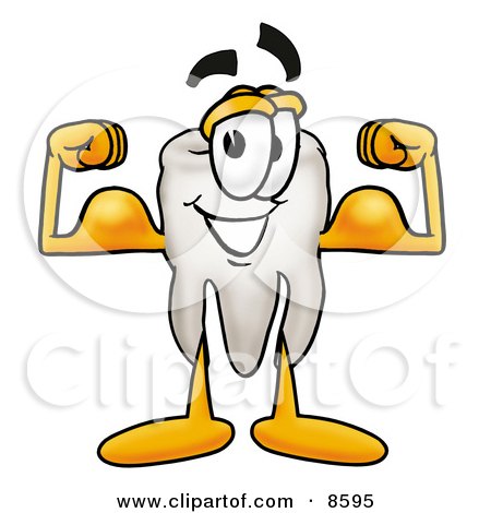 http://images.clipartof.com/small/8595-Clipart-Picture-Of-A-Tooth-Mascot-Cartoon-Character-Flexing-His-Arm-Muscles.jpg