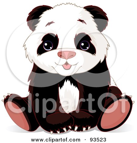 Baby Panda Bear Pictures on 93523 Adorable Baby Panda Bear Sitting With His Paws Between His Legs