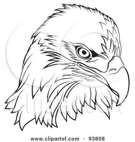 Royalty-free clipart picture of a black and white bald eagle head, 