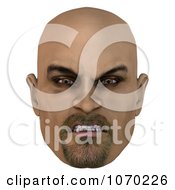 angry bald face