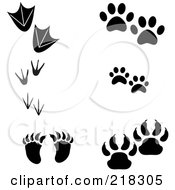 Cat Footprint Clipart