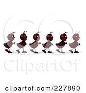 Royalty-Free (RF) Clipart of Marching Ants, Illustrations, Vector