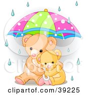 image: 39225-Baby-Teddy-Bear-Cuddling-With-Its-Mother-Under-An-Umbrella-On-A-Rainy-Day