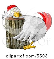 Funny Chicken On A Chopping Block Clipart Illustration by Dennis Cox