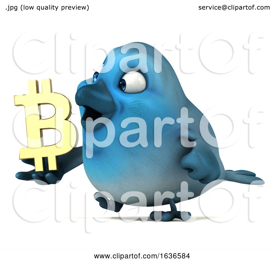 cryptocurrency pictures of birds