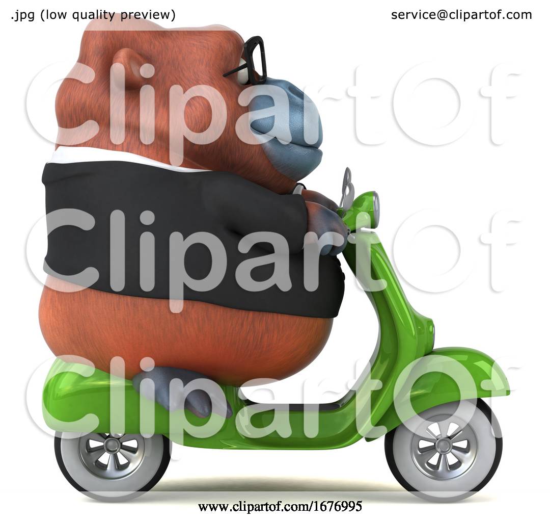 Download 3d Business Orangutan Monkey Riding a Scooter, on a White ...