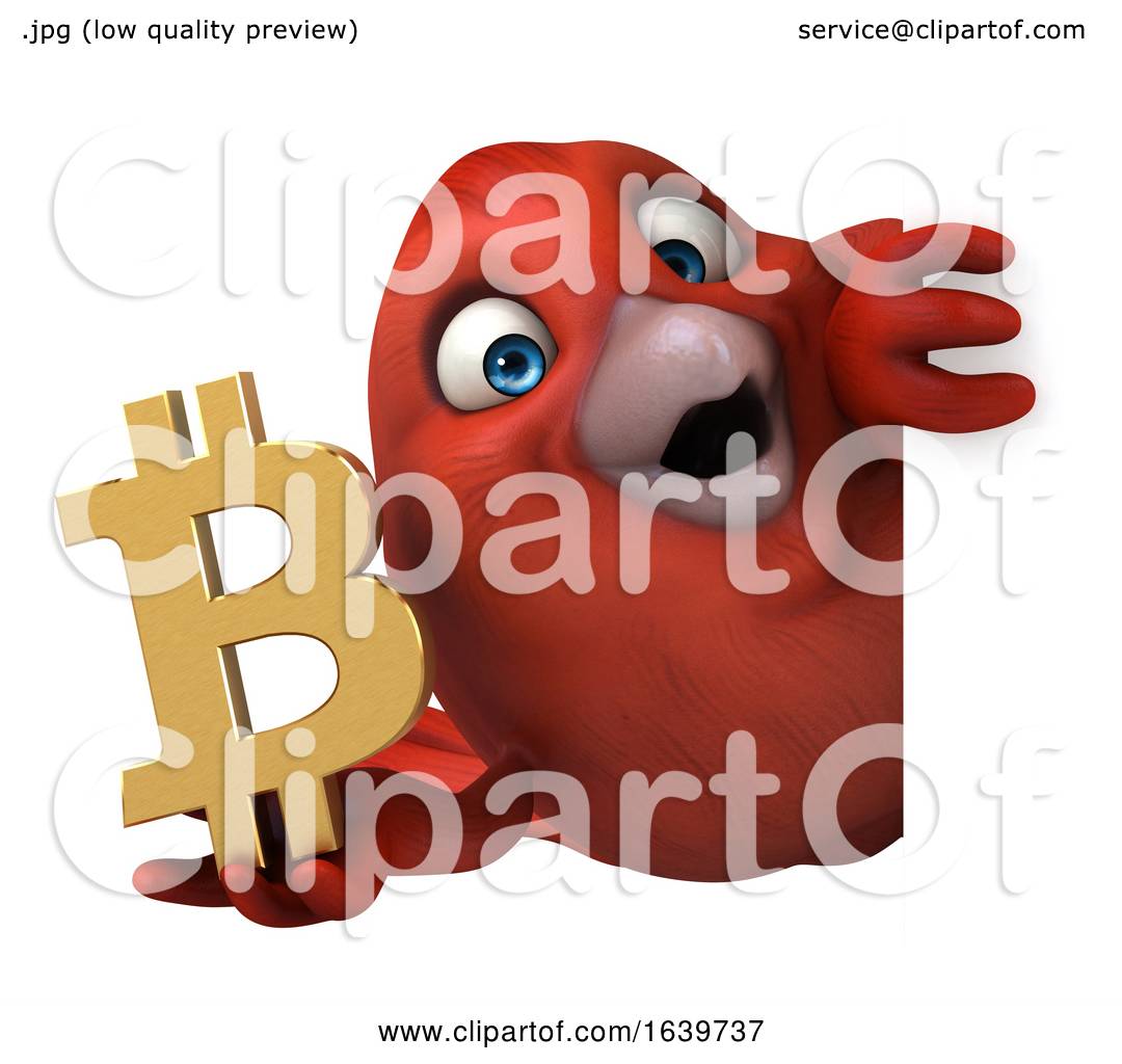 bird btc