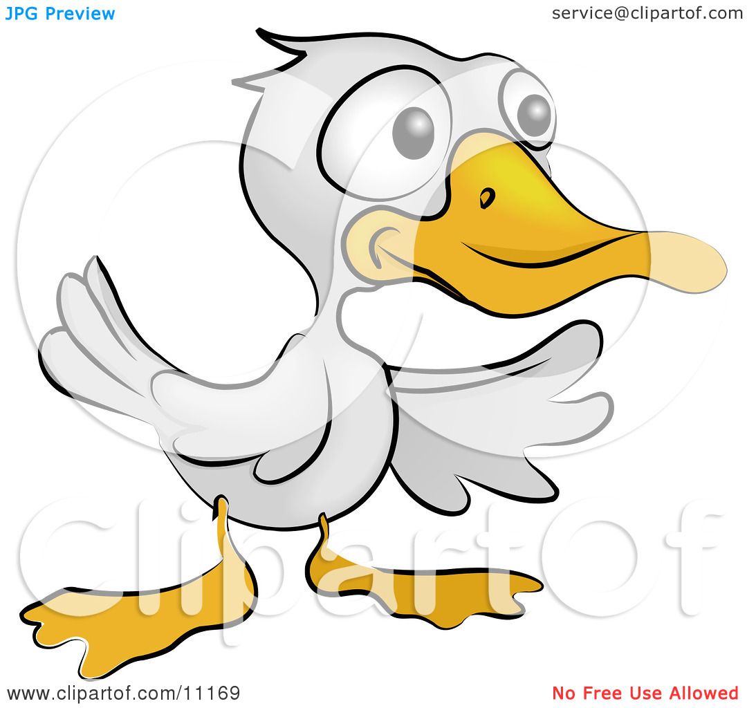 a Cute White Ducky With an Orange Beak and Feet Clipart ...