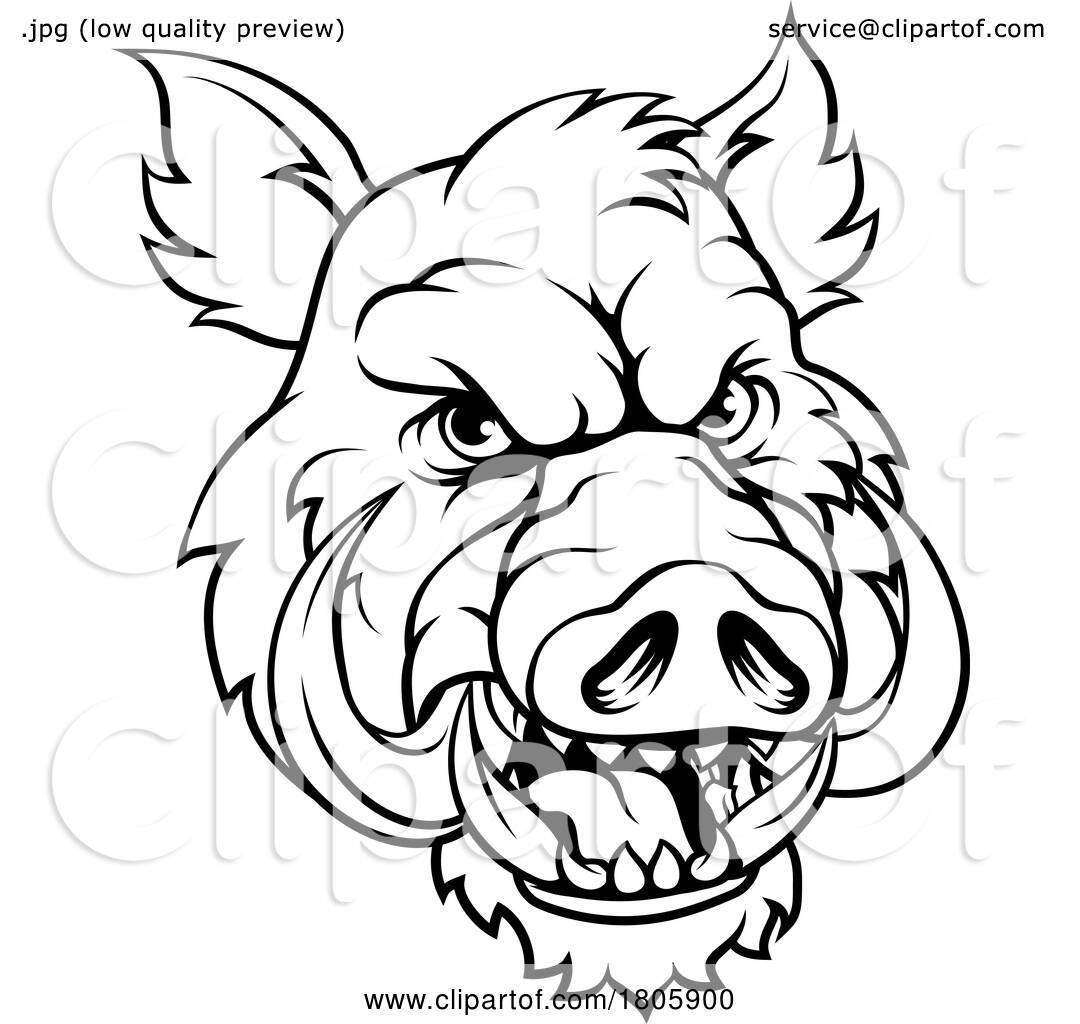 Boar Wild Hog Razorback Warthog Mascot Pig Cartoon by ...