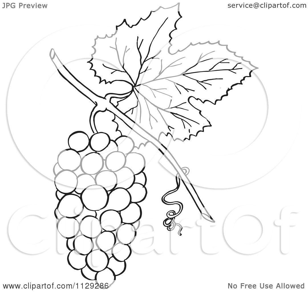 black and white grapes