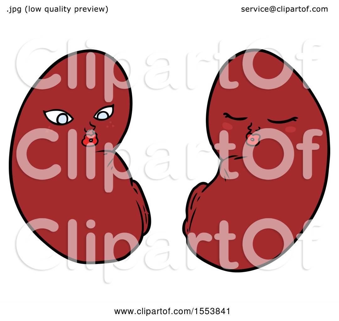 Cartoon Kidneys by lineartestpilot #1553841